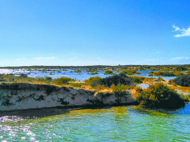 Natureza-Riar-21